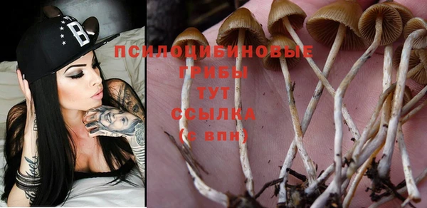 трава Снежногорск