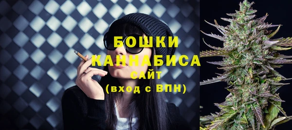 трава Елизово