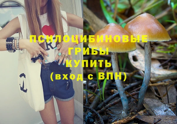 гашишное масло Елабуга